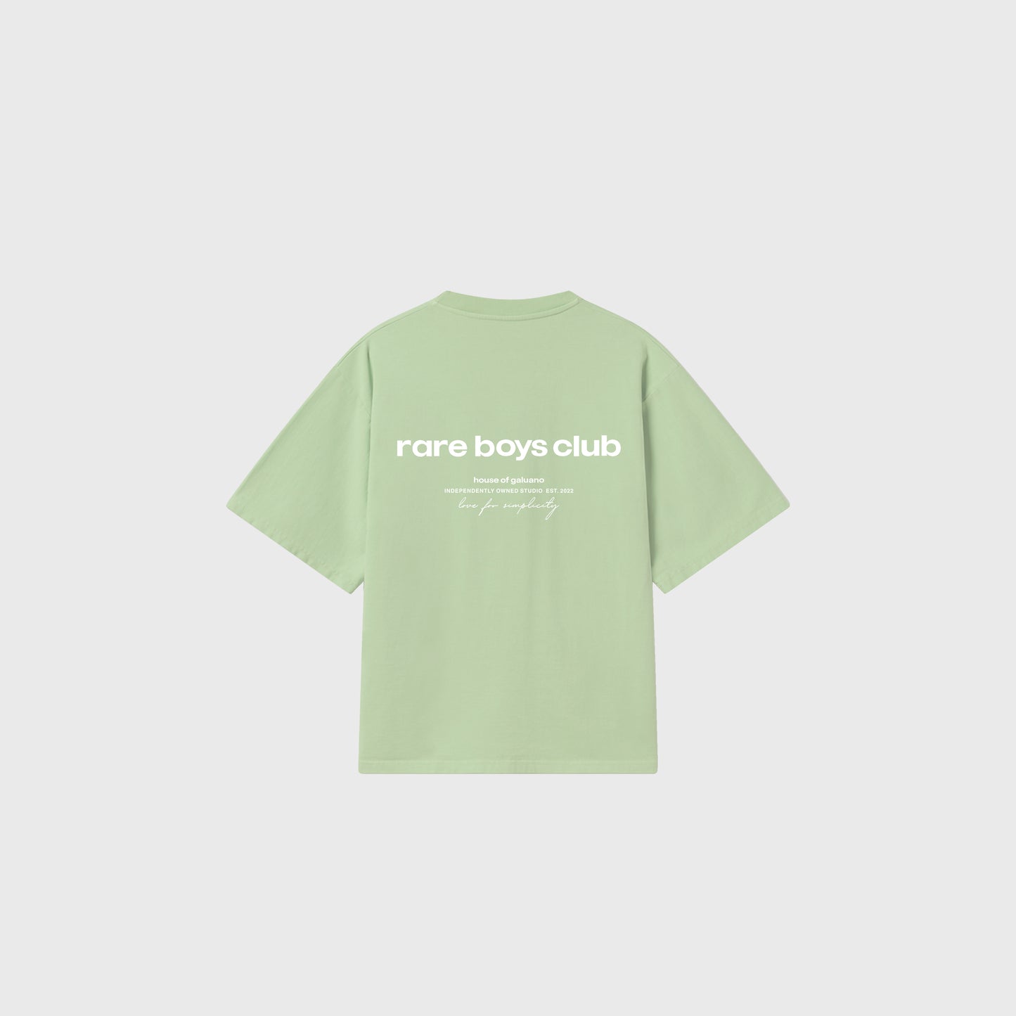 RARE OVERSIZE TSHIRT - PISTACHIO