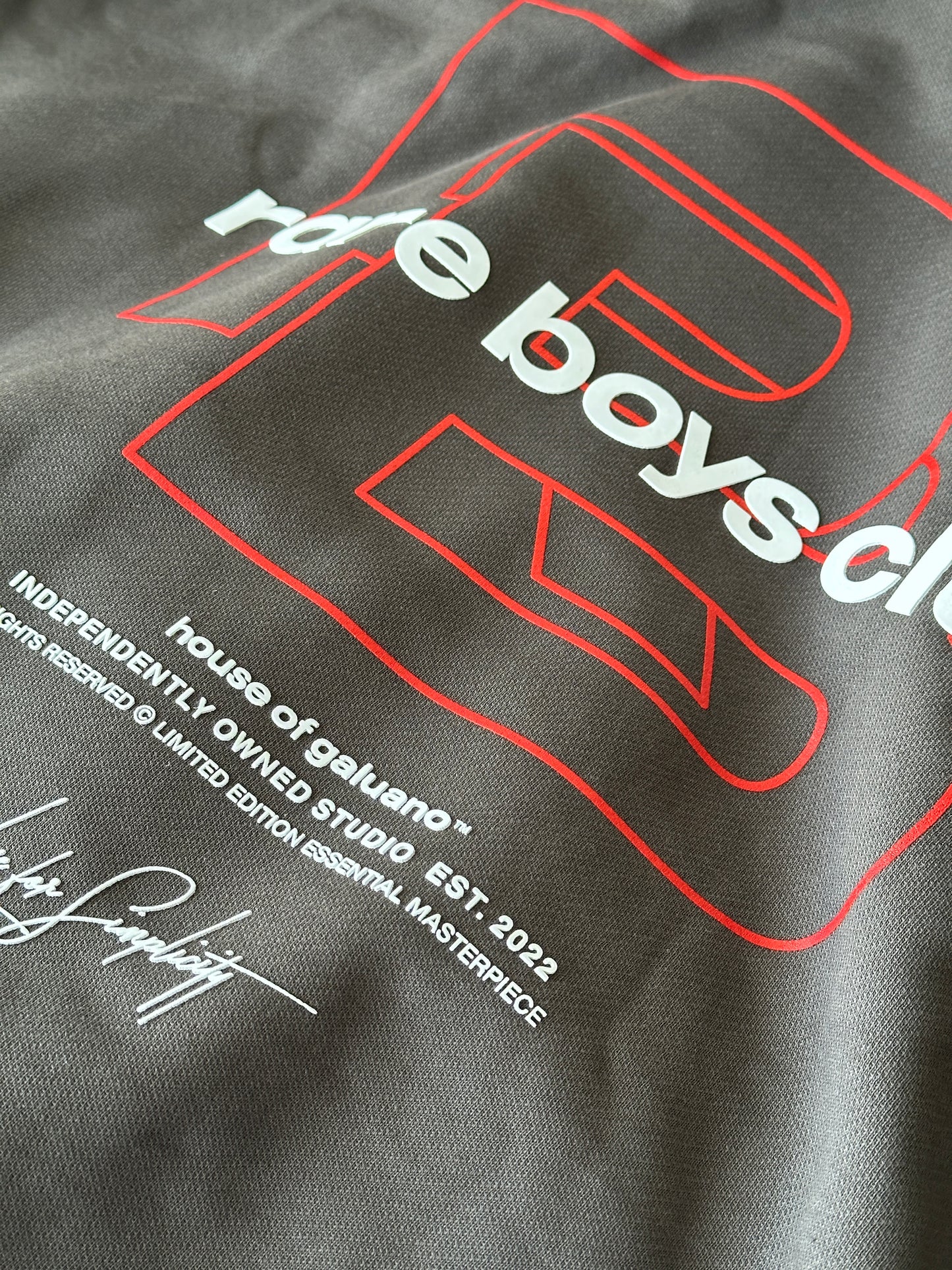 RARE HOODIE SPECIAL EDITION SUPERWEIGHT - GREY