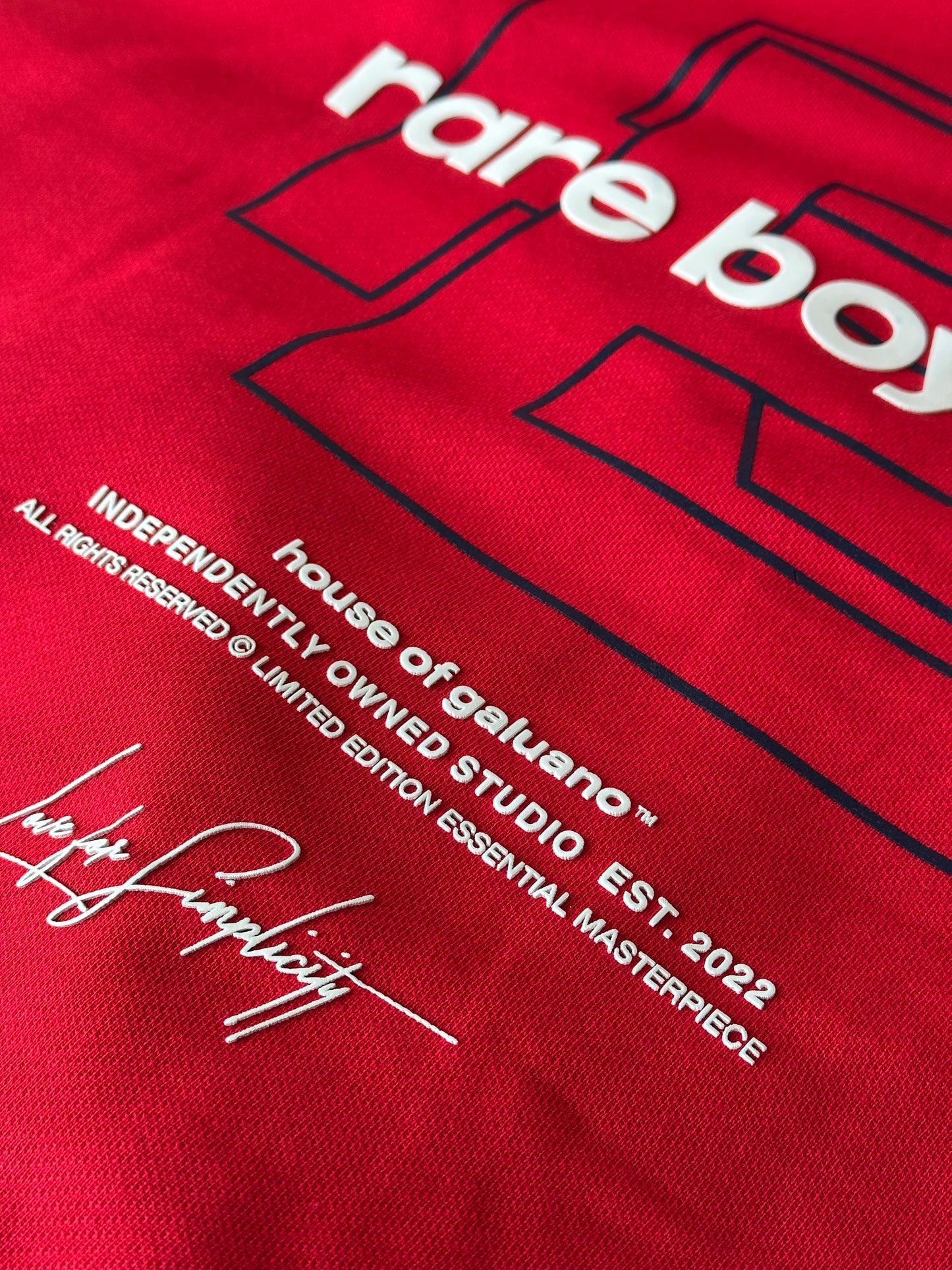 RARE HOODIE SPECIAL EDITION SUPERWEIGHT - RED